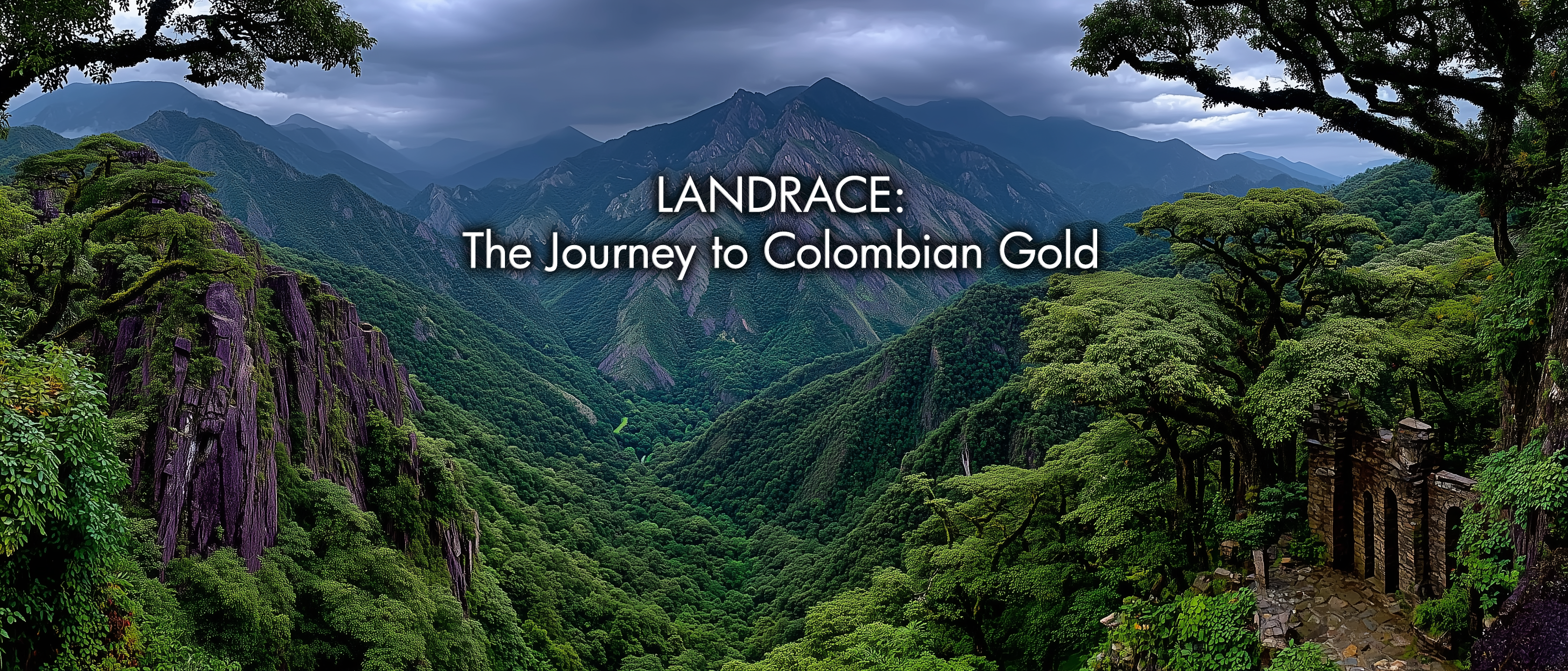 Landrace: The Journey to Colombian Gold